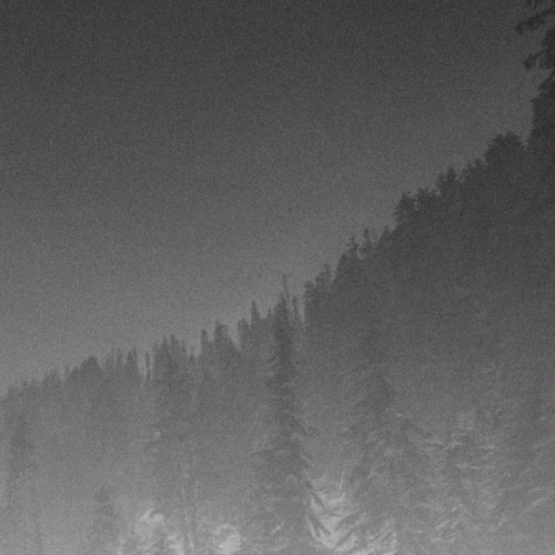 Vintlechkeit : Gjennom Skogens Kratt...